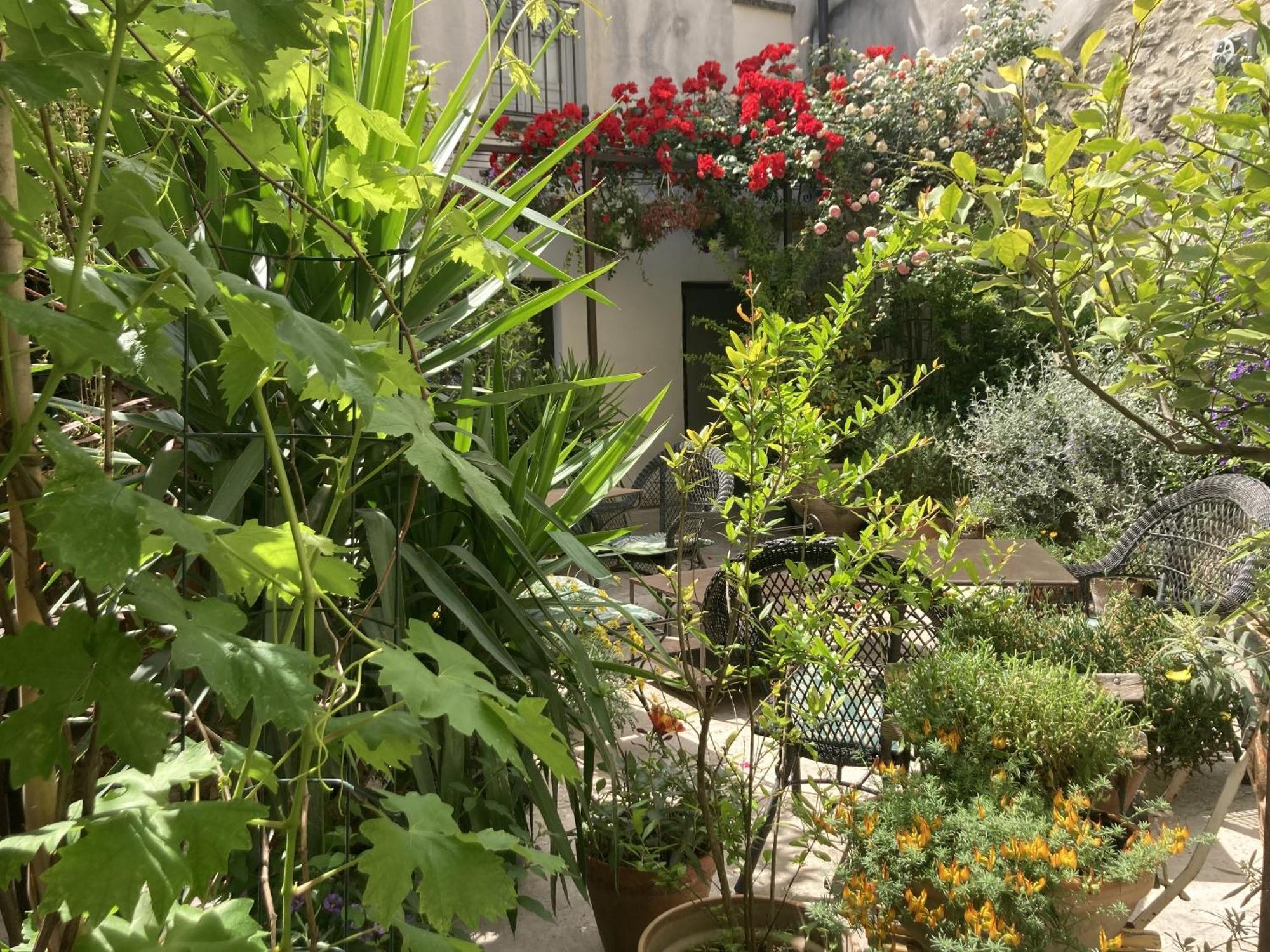 Bed and Breakfast Aux Augustins Avignon Zimmer foto