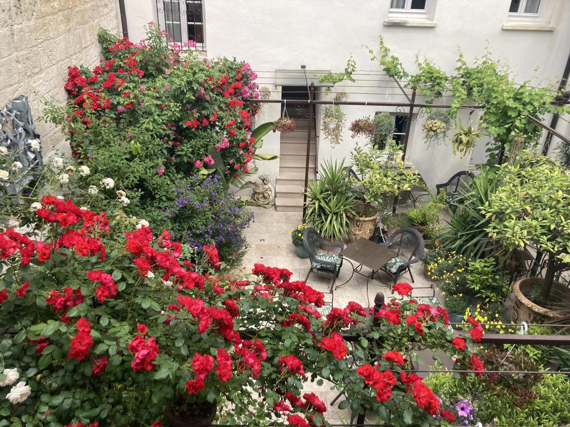Bed and Breakfast Aux Augustins Avignon Zimmer foto