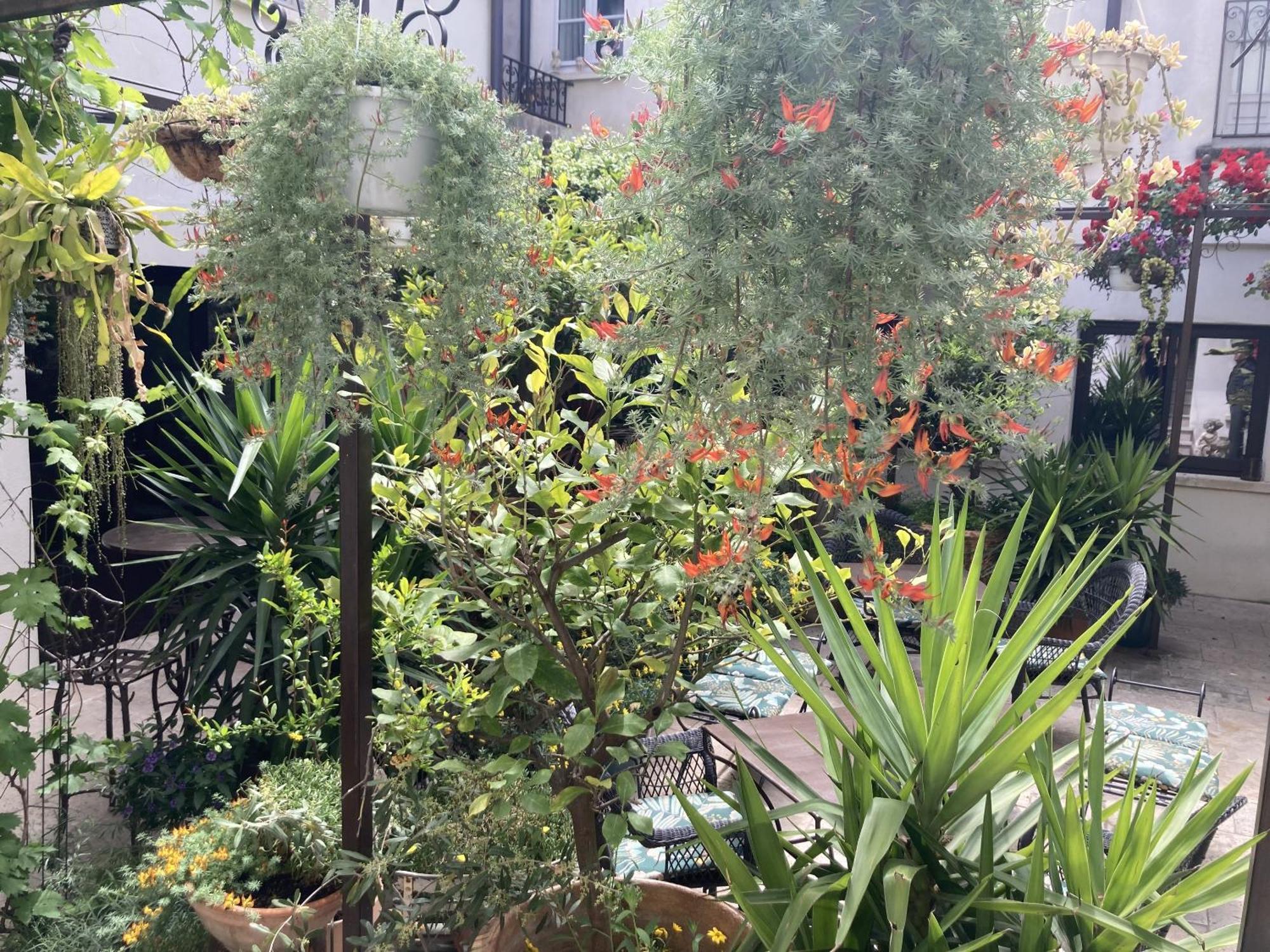 Bed and Breakfast Aux Augustins Avignon Zimmer foto